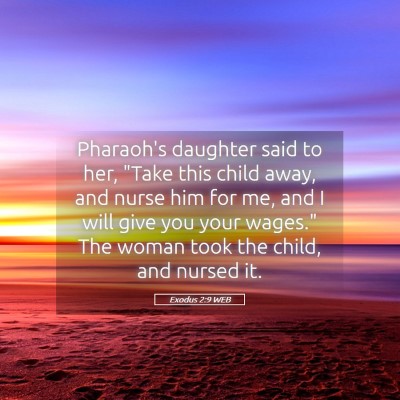 Picture 05 - Exodus 2:9 WEB - Pharaoh's daughter said to her, 