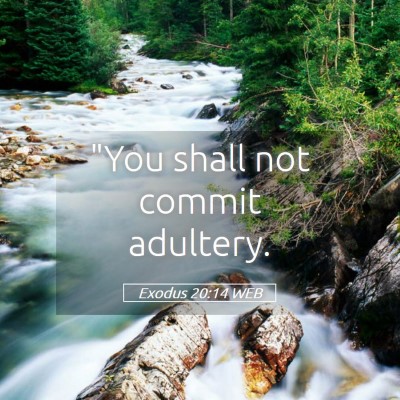 Picture 05 - Exodus 20:14 WEB - 
