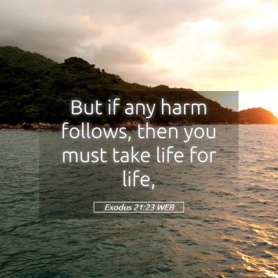 Picture 05 - Exodus 21:23 WEB - But if any harm follows, then you must take life - Bible Verse Picture