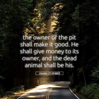 Picture 05 - Exodus 21:34 WEB - the owner of the pit shall make it good. He shall - Bible Verse Picture