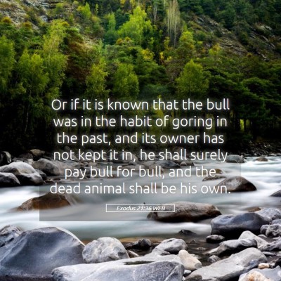 Picture 05 - Exodus 21:36 WEB - Or if it is known that the bull was in the habit - Bible Verse Picture