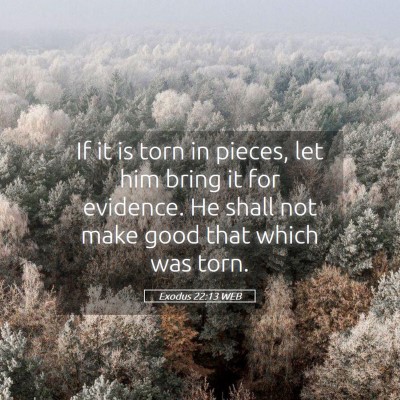 Picture 05 - Exodus 22:13 WEB - If it is torn in pieces, let him bring it for - Bible Verse Picture