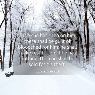 Picture 05 - Exodus 22:3 WEB - If the sun has risen on him, there shall be guilt - Bible Verse Picture