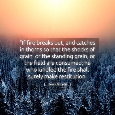 Picture 05 - Exodus 22:6 WEB - 