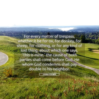 Picture 05 - Exodus 22:9 WEB - For every matter of trespass, whether it be for - Bible Verse Picture