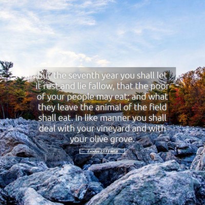 Picture 05 - Exodus 23:11 WEB - but the seventh year you shall let it rest and - Bible Verse Picture