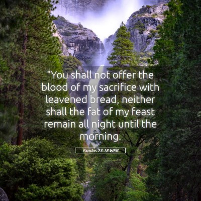 Picture 05 - Exodus 23:18 WEB - 