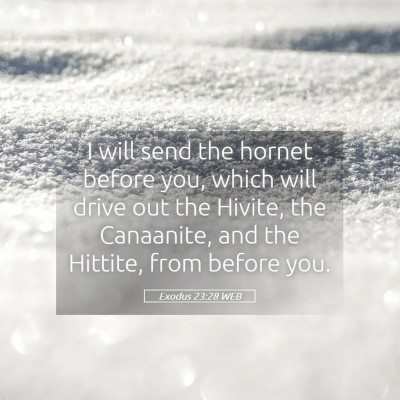 Picture 05 - Exodus 23:28 WEB - I will send the hornet before you, which will - Bible Verse Picture