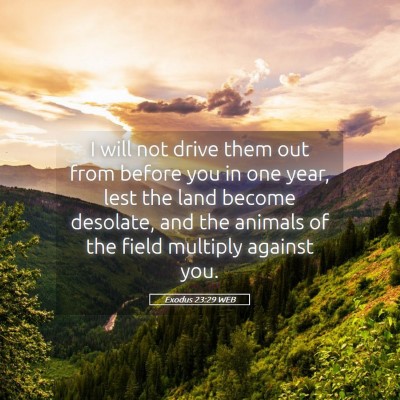 Picture 05 - Exodus 23:29 WEB - I will not drive them out from before you in one - Bible Verse Picture