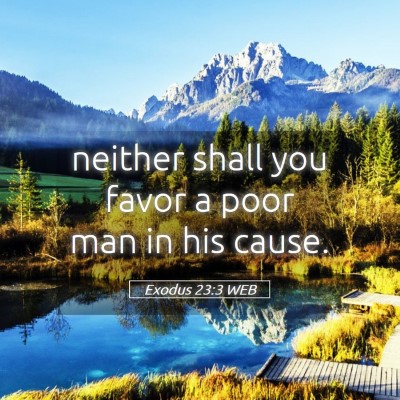 Picture 05 - Exodus 23:3 WEB - neither shall you favor a poor man in his - Bible Verse Picture