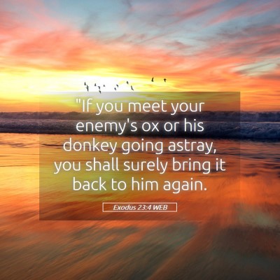 Picture 05 - Exodus 23:4 WEB - 