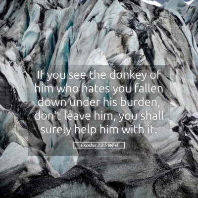 Picture 05 - Exodus 23:5 WEB - If you see the donkey of him who hates you fallen - Bible Verse Picture