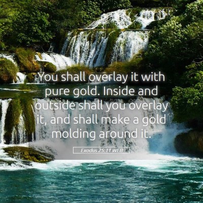 Picture 05 - Exodus 25:11 WEB - You shall overlay it with pure gold. Inside and - Bible Verse Picture