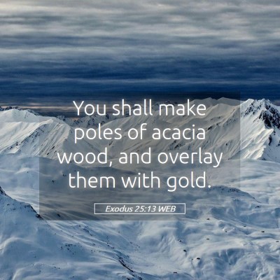 Picture 05 - Exodus 25:13 WEB - You shall make poles of acacia wood, and overlay - Bible Verse Picture