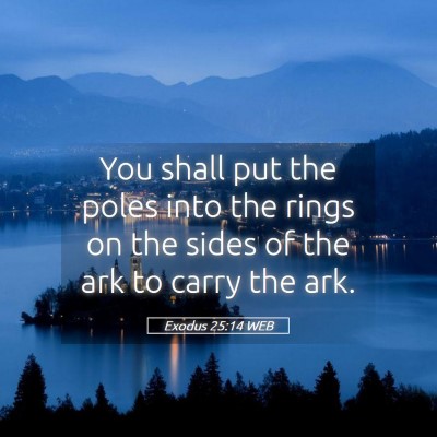 Picture 05 - Exodus 25:14 WEB - You shall put the poles into the rings on the - Bible Verse Picture