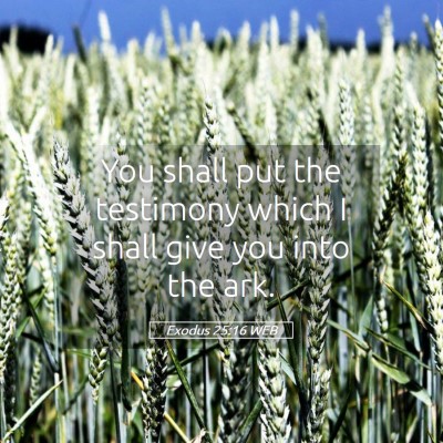 Picture 05 - Exodus 25:16 WEB - You shall put the testimony which I shall give - Bible Verse Picture