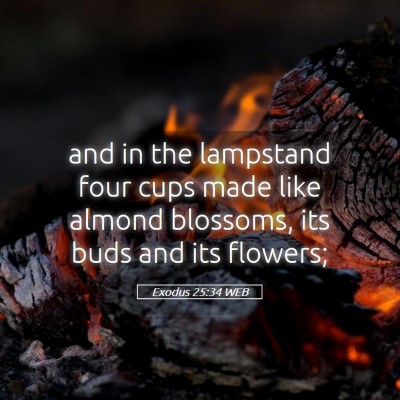 Picture 05 - Exodus 25:34 WEB - and in the lampstand four cups made like almond - Bible Verse Picture
