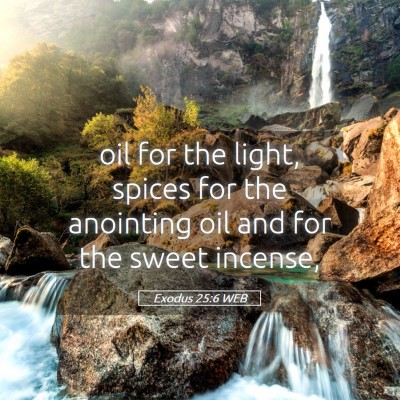 Picture 05 - Exodus 25:6 WEB - oil for the light, spices for the anointing oil - Bible Verse Picture