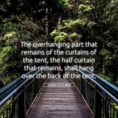 Picture 05 - Exodus 26:12 WEB - The overhanging part that remains of the curtains - Bible Verse Picture