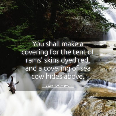 Picture 05 - Exodus 26:14 WEB - You shall make a covering for the tent of rams' - Bible Verse Picture