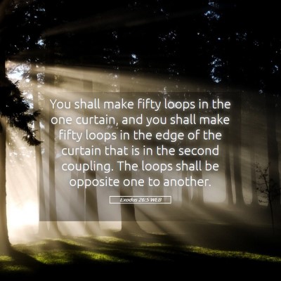 Picture 05 - Exodus 26:5 WEB - You shall make fifty loops in the one curtain, - Bible Verse Picture