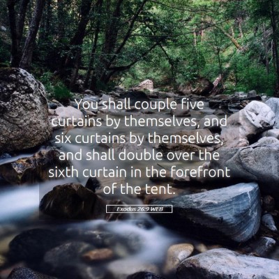Picture 05 - Exodus 26:9 WEB - You shall couple five curtains by themselves, and - Bible Verse Picture