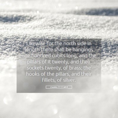 Picture 05 - Exodus 27:11 WEB - Likewise for the north side in length there shall - Bible Verse Picture