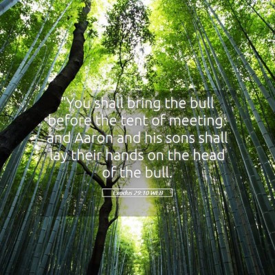 Picture 05 - Exodus 29:10 WEB - 