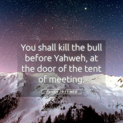 Picture 05 - Exodus 29:11 WEB - You shall kill the bull before Yahweh, at the - Bible Verse Picture