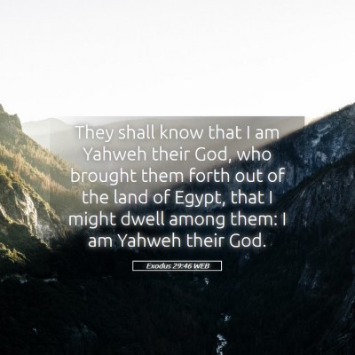 Picture 05 - Exodus 29:46 WEB - They shall know that I am Yahweh their God, who - Bible Verse Picture