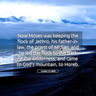 Picture 05 - Exodus 3:1 WEB - Now Moses was keeping the flock of Jethro, his - Bible Verse Picture