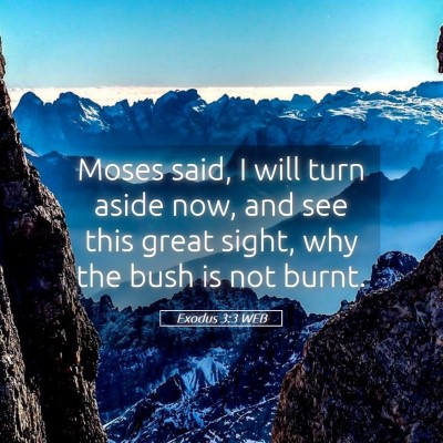 Picture 05 - Exodus 3:3 WEB - Moses said, I will turn aside now, and see this - Bible Verse Picture
