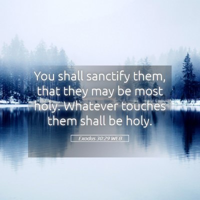 Picture 05 - Exodus 30:29 WEB - You shall sanctify them, that they may be most - Bible Verse Picture