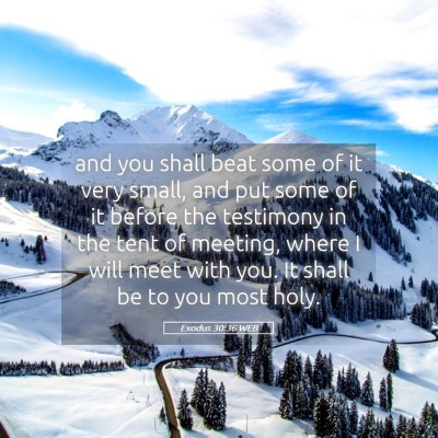 Picture 05 - Exodus 30:36 WEB - and you shall beat some of it very small, and put - Bible Verse Picture