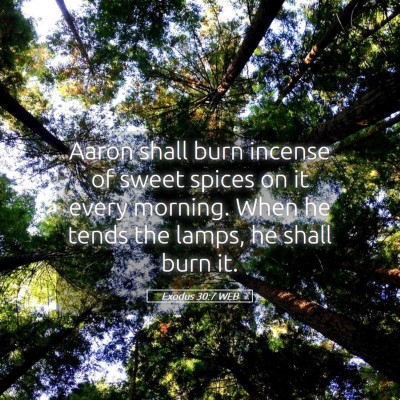 Picture 05 - Exodus 30:7 WEB - Aaron shall burn incense of sweet spices on it - Bible Verse Picture