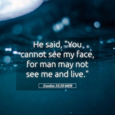 Picture 05 - Exodus 33:20 WEB - He said, 