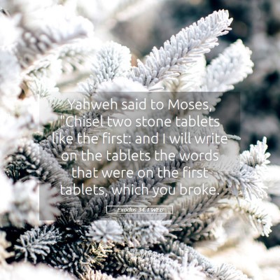 Picture 05 - Exodus 34:1 WEB - Yahweh said to Moses, 
