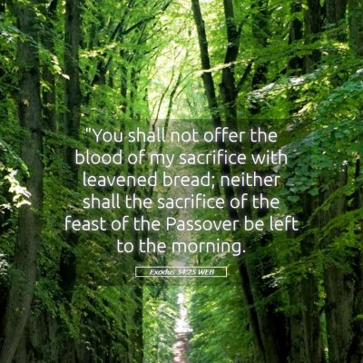 Picture 05 - Exodus 34:25 WEB - 