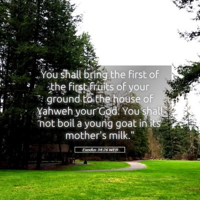 Picture 05 - Exodus 34:26 WEB - You shall bring the first of the first fruits of - Bible Verse Picture