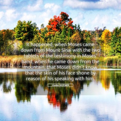 Picture 05 - Exodus 34:29 WEB - It happened, when Moses came down from Mount - Bible Verse Picture
