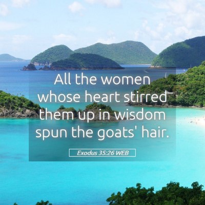 Picture 05 - Exodus 35:26 WEB - All the women whose heart stirred them up in - Bible Verse Picture