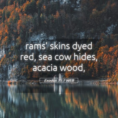 Picture 05 - Exodus 35:7 WEB - rams' skins dyed red, sea cow hides, acacia - Bible Verse Picture