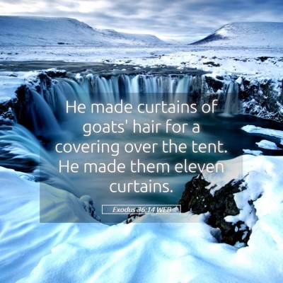 Picture 05 - Exodus 36:14 WEB - He made curtains of goats' hair for a covering - Bible Verse Picture