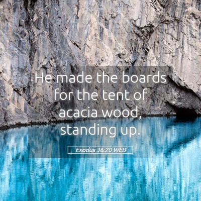 Picture 05 - Exodus 36:20 WEB - He made the boards for the tent of acacia wood, - Bible Verse Picture