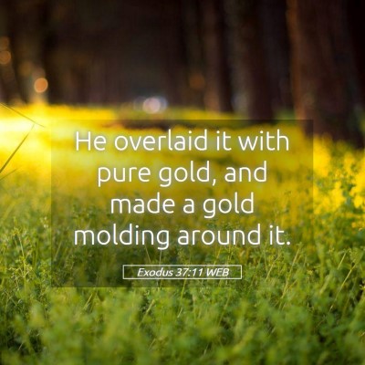 Picture 05 - Exodus 37:11 WEB - He overlaid it with pure gold, and made a gold - Bible Verse Picture