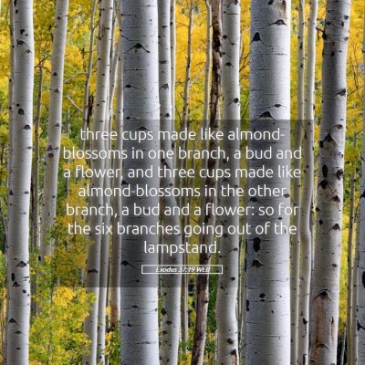 Picture 05 - Exodus 37:19 WEB - three cups made like almond-blossoms in one - Bible Verse Picture