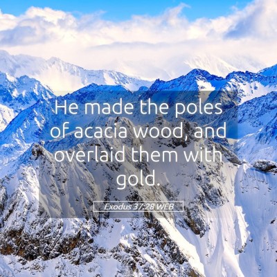 Picture 05 - Exodus 37:28 WEB - He made the poles of acacia wood, and overlaid - Bible Verse Picture