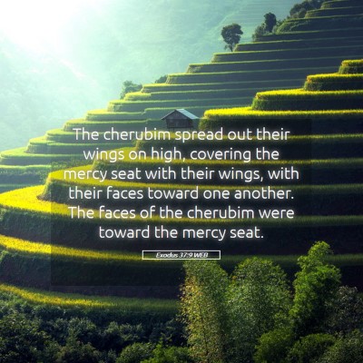 Picture 05 - Exodus 37:9 WEB - The cherubim spread out their wings on high, - Bible Verse Picture