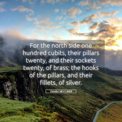 Picture 05 - Exodus 38:11 WEB - For the north side one hundred cubits, their - Bible Verse Picture