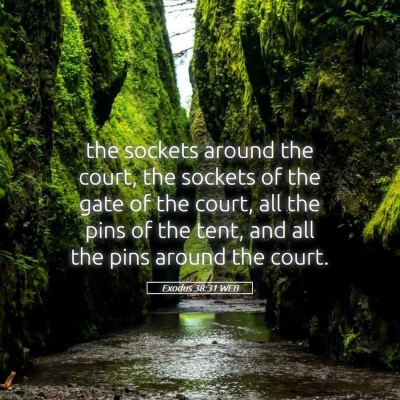 Picture 05 - Exodus 38:31 WEB - the sockets around the court, the sockets of the - Bible Verse Picture